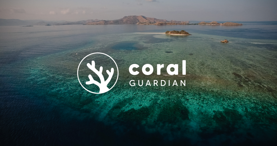 Notre partenariat avec Coral Guardian